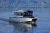 Swift Chaser 630